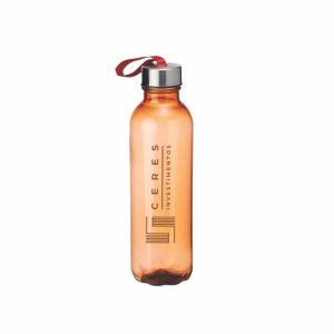 Squeeze Plástico Translúcido, 650 Ml